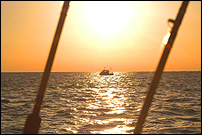 Lake Michigan Coho fishing