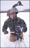 filming geese in the winter